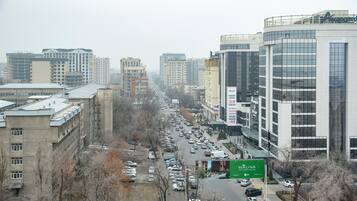 Vista desde la habitación