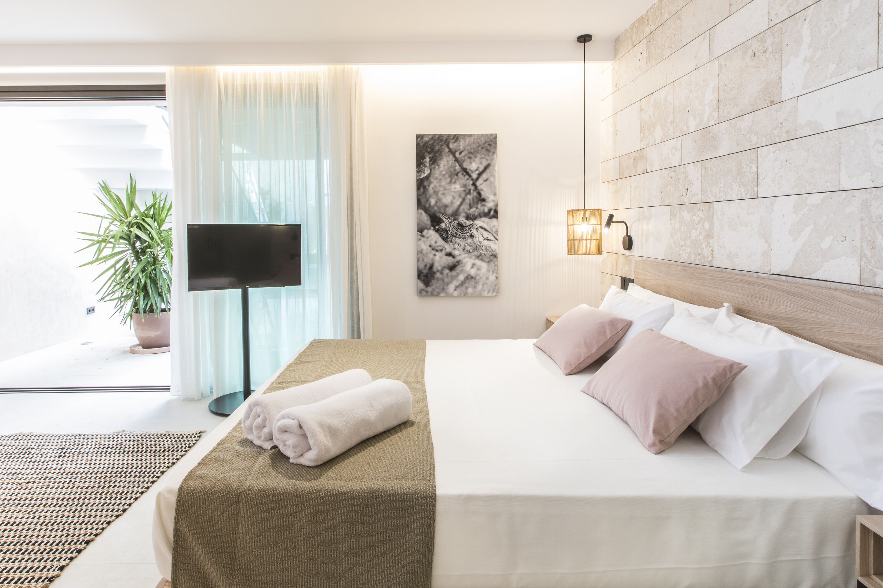 A modern hotel room with a large bed, a flat-screen TV, a potted plant, and a view of the outdoors.