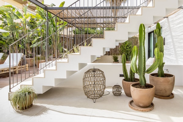 Un escalier moderne aux murs blancs et aux rampes en métal, entouré de plantes en pot, notamment de cactus et d’une jardinière suspendue.