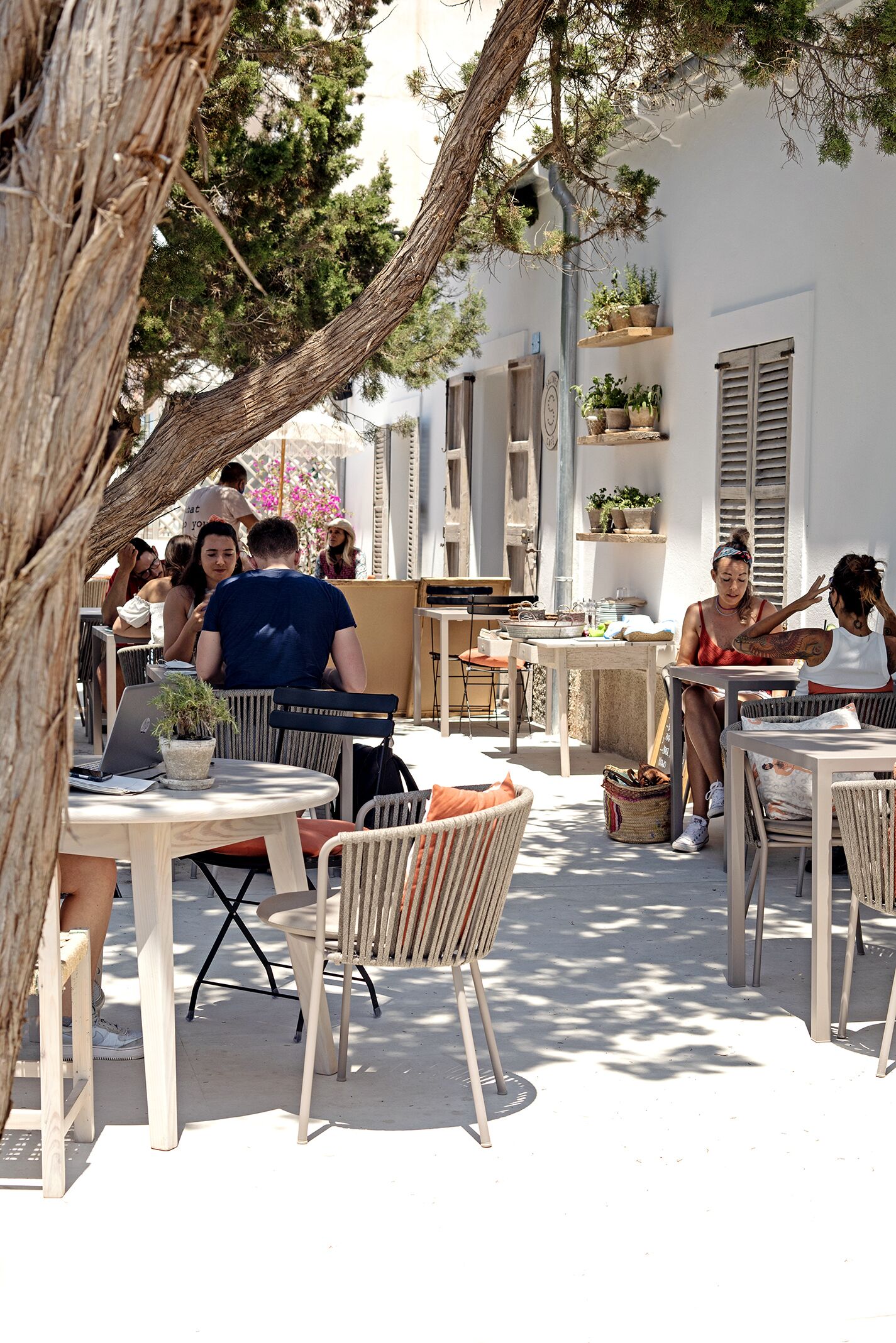 An outdoor café with wicker furniture, potted plants, and a relaxed atmosphere.