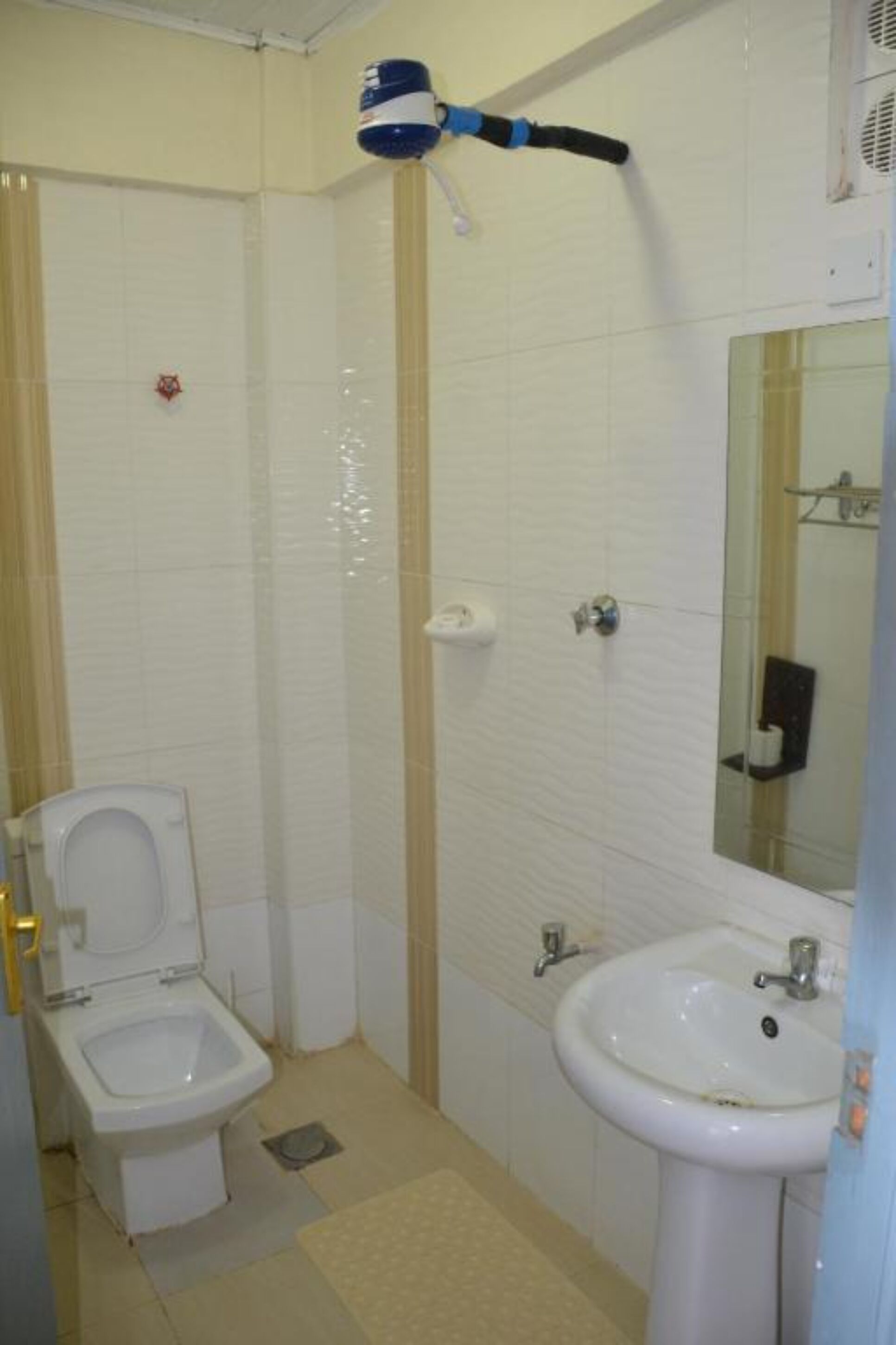 Une petite salle de bain avec des toilettes, un lavabo et une douche.