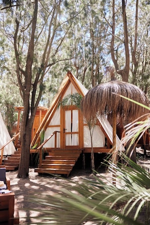 Minibar, wifi gratis y ropa de cama . TAIGA Tarifa Punta Paloma