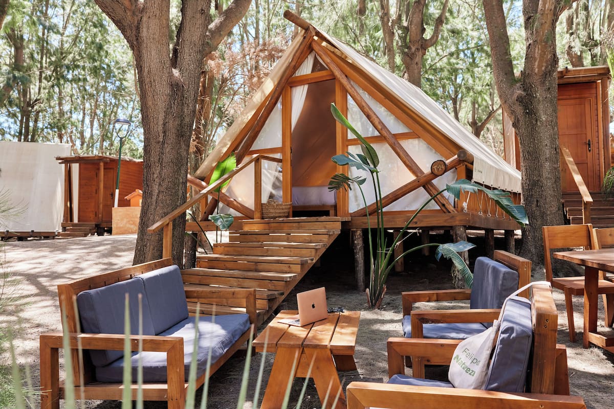 A wooden cabin with a sloped roof, built around trees, featuring outdoor seating and a laptop on a table.