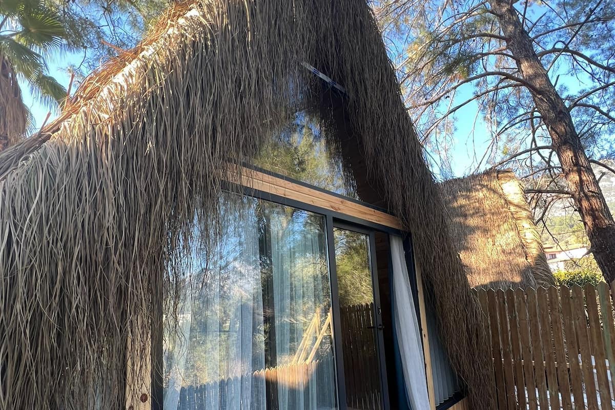 Eine moderne Holzhütte mit großen Fenstern, einer Holzdielen-Terrasse und einem Reetdach.
