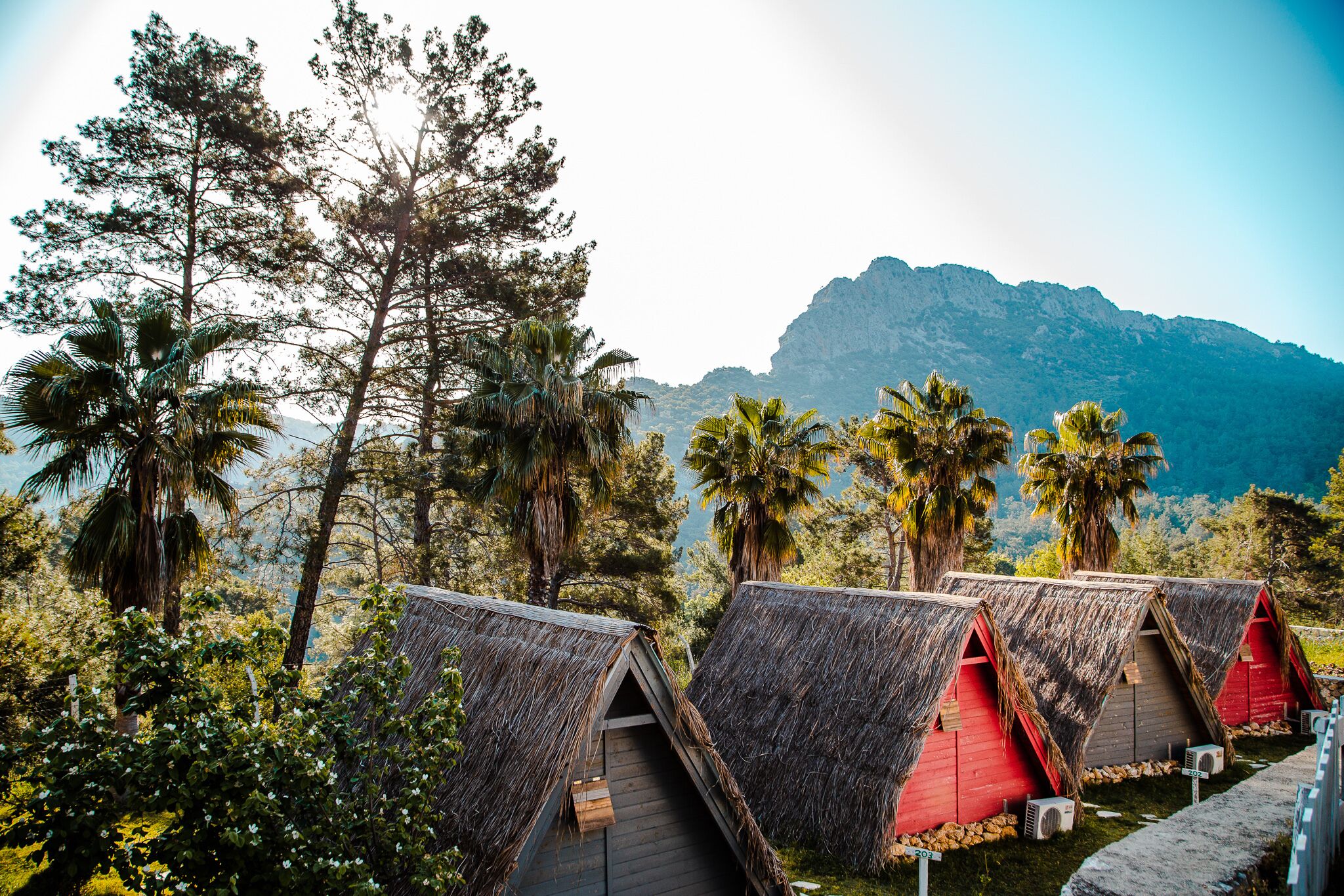 Cabañas de techo de paja con interiores rojos, rodeadas de árboles y una montaña al fondo.