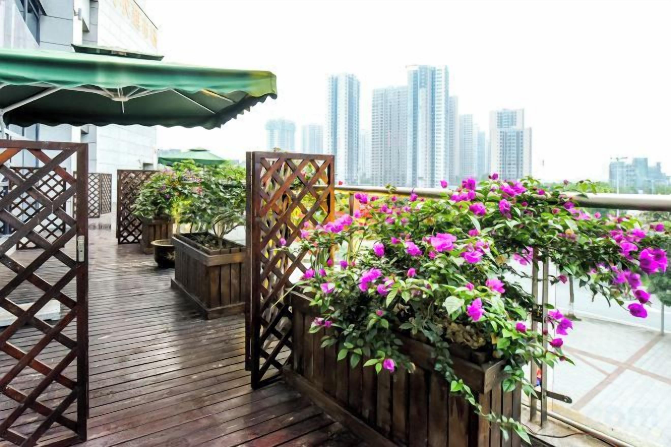A wooden deck with potted plants and a view of a city skyline.