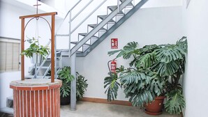 Een trap met een brandblusser aan de muur, een hangplant en een pot met een monstera.