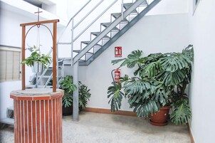 Una escalera con un extintor montado en la pared, una planta colgante y una planta de monstera en maceta.