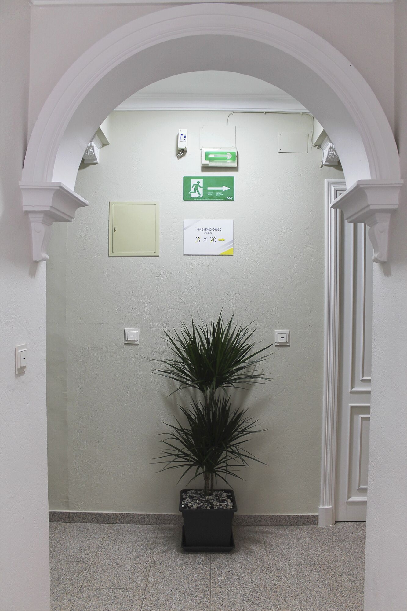 A hallway with a potted plant, emergency exit signs, and a door to rooms 15-20.