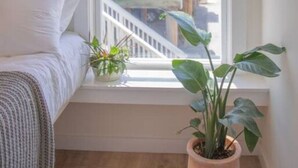A bedroom with a bed, a window with a view of a building, and a potted plant on the windowsill. - The Scenic Bunkalow | Walk to Beach + Bunk Room (Miramar Beach)