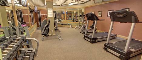 A gym with treadmills, dumbbells, and exercise machines.