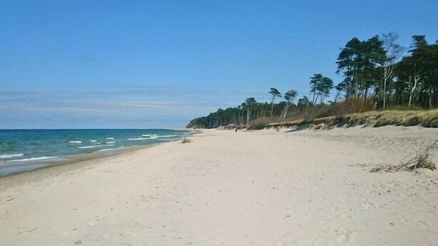 A sandy beach with a clear sky and trees in the background. - Holiday homes with terraces, close to the beach (Jaroslawiec)