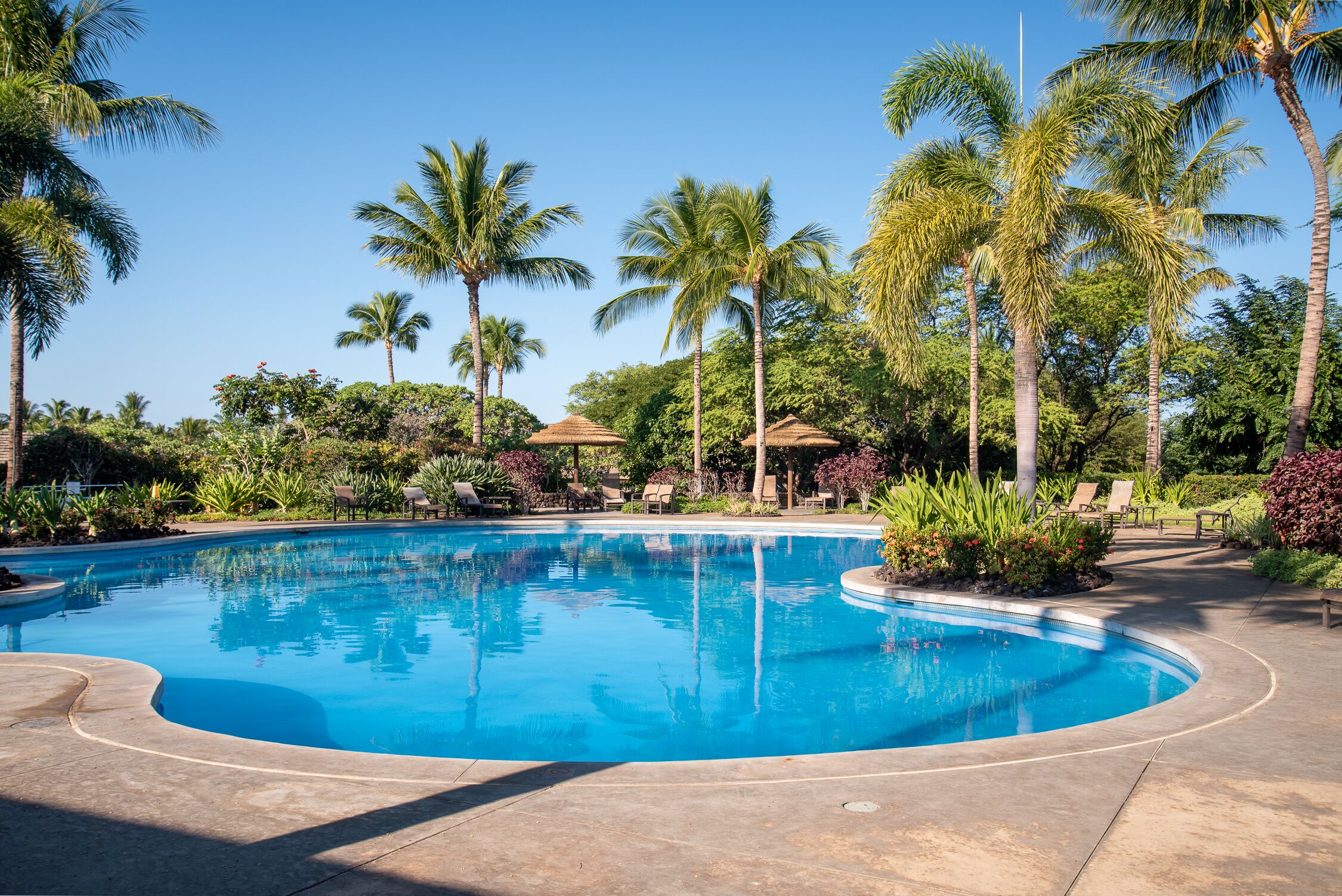 Piscine chauffée