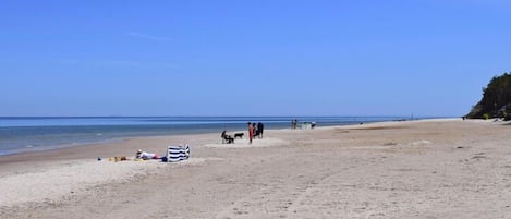 Vlak bij het strand