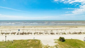 Een strand met een zandstrand, een hek en een struikje.