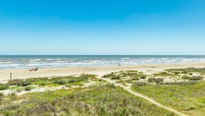 Une plage avec un ciel dégagé, un rivage sablonneux et des dunes herbeuses.