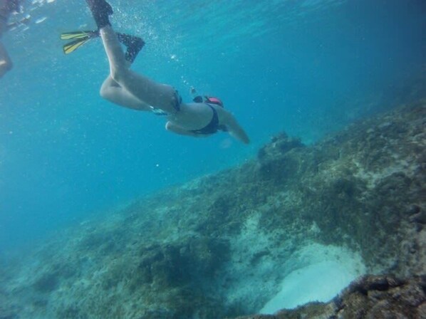 A diver underwater, surrounded by clear blue water and rocky terrain.
