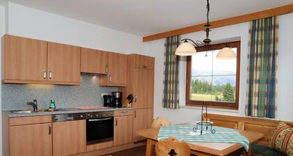Gemütliches Appartement Gernkogel in Hochkrimml
