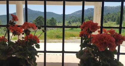 Premium home in a stunning location