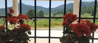 Premium home in a stunning location