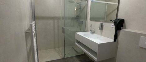 A modern bathroom with a glass-enclosed shower, a white sink, and a mirror.