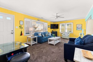 TV, fireplace, video games, books