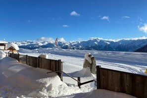 View from property - Unique alpine pasture in the Zillertal mountains (Zellberg)