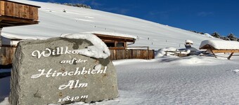 Alpine pasture in the Zillertal mountains