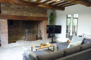 Smart TV, chimenea y reproductor de DVD 