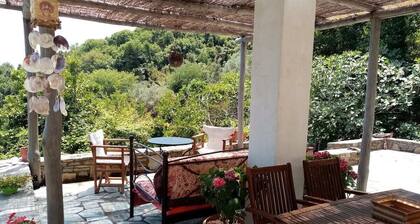 Armonia house