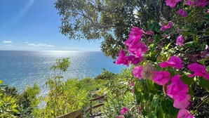 A stone pathway leading to a scenic overlook with a view of the sea and pink flowers.