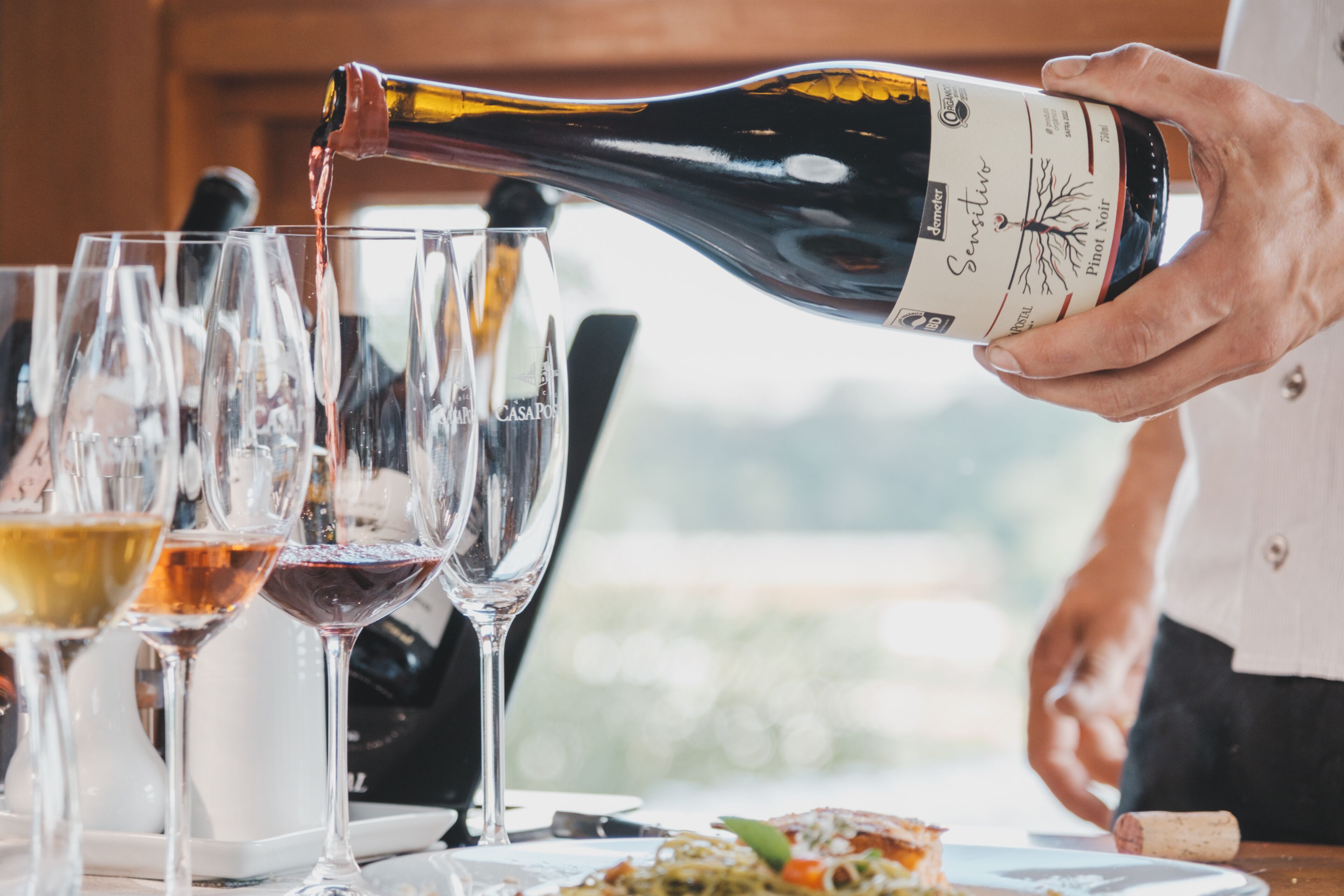 Une personne verse du vin dans des verres sur une table, à côté d’une bouteille portant l’étiquette « Pinot Noir, à manipuler avec précaution ».