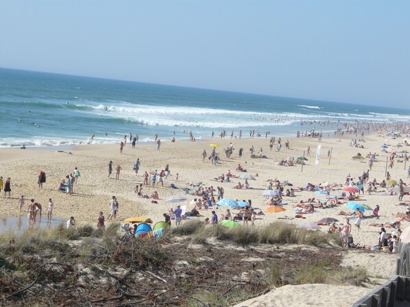 A crowded beach with people sunbathing and swimming. - Among the pines, between nature and the ocean (Lacanau)