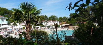 Among the pines, between nature and the ocean