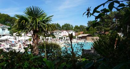 Among the pines, between nature and the ocean