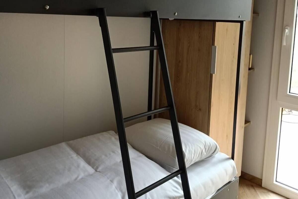Una cama litera con escalera, un armario de madera y una puerta.