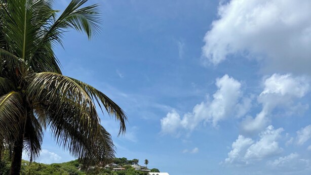 A beach with clear water, a palm tree, and a distant hill with buildings. - Martinique!  Beautiful, fully renovated studio with sea view (ANSE MITAN - LES 3 ILETS)