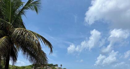 Martinique! Beau studio vue mer entièrement rénové