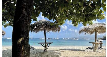 Martinique! Beautiful, fully renovated studio with sea view