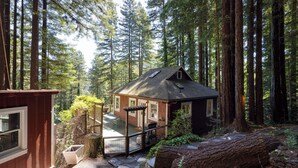 Eine Holzhütte mit einem Steinweg, der zu einer Terrasse führt, umgeben von hohen Bäumen.