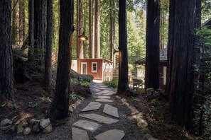 Property grounds - Wanderwood ~ Peaceful Cabin, Tastefully Decorated, Close to River, Wineries (Guerneville)