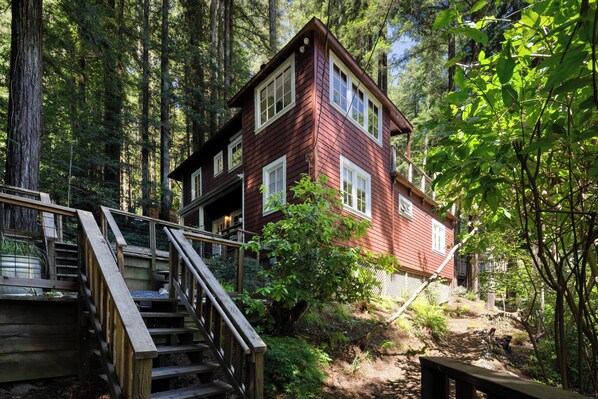 Exterior - Wanderwood ~ Peaceful Cabin, Tastefully Decorated, Close to River, Wineries (Guerneville)
