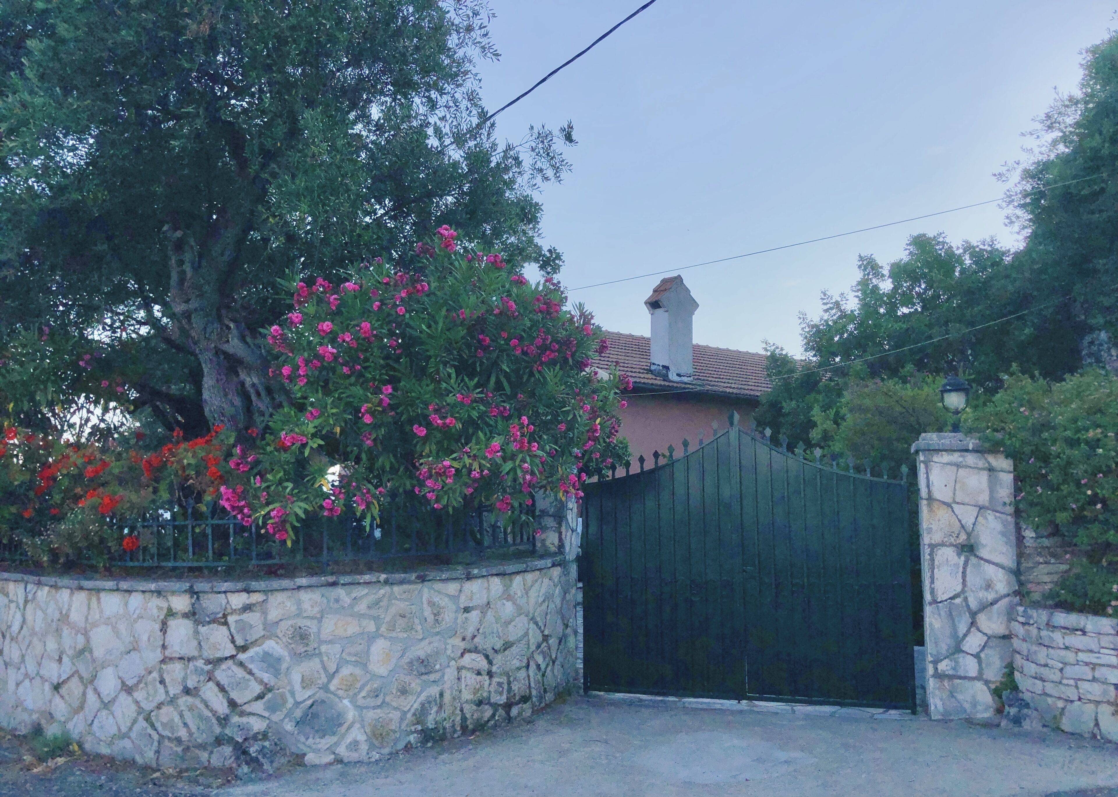 Ein verschlossener Eingang mit einer Steinmauer, einem Metallgitter und einem Baum mit rosa Blüten.