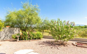 A garden with various plants and a gravel path.