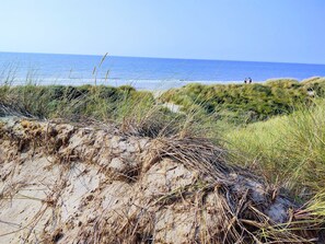 Une plage avec des dunes et de la végétation.