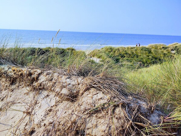 Beach - Getting a breath of fresh air by the sea between Bredene and De Haan (Bredene)