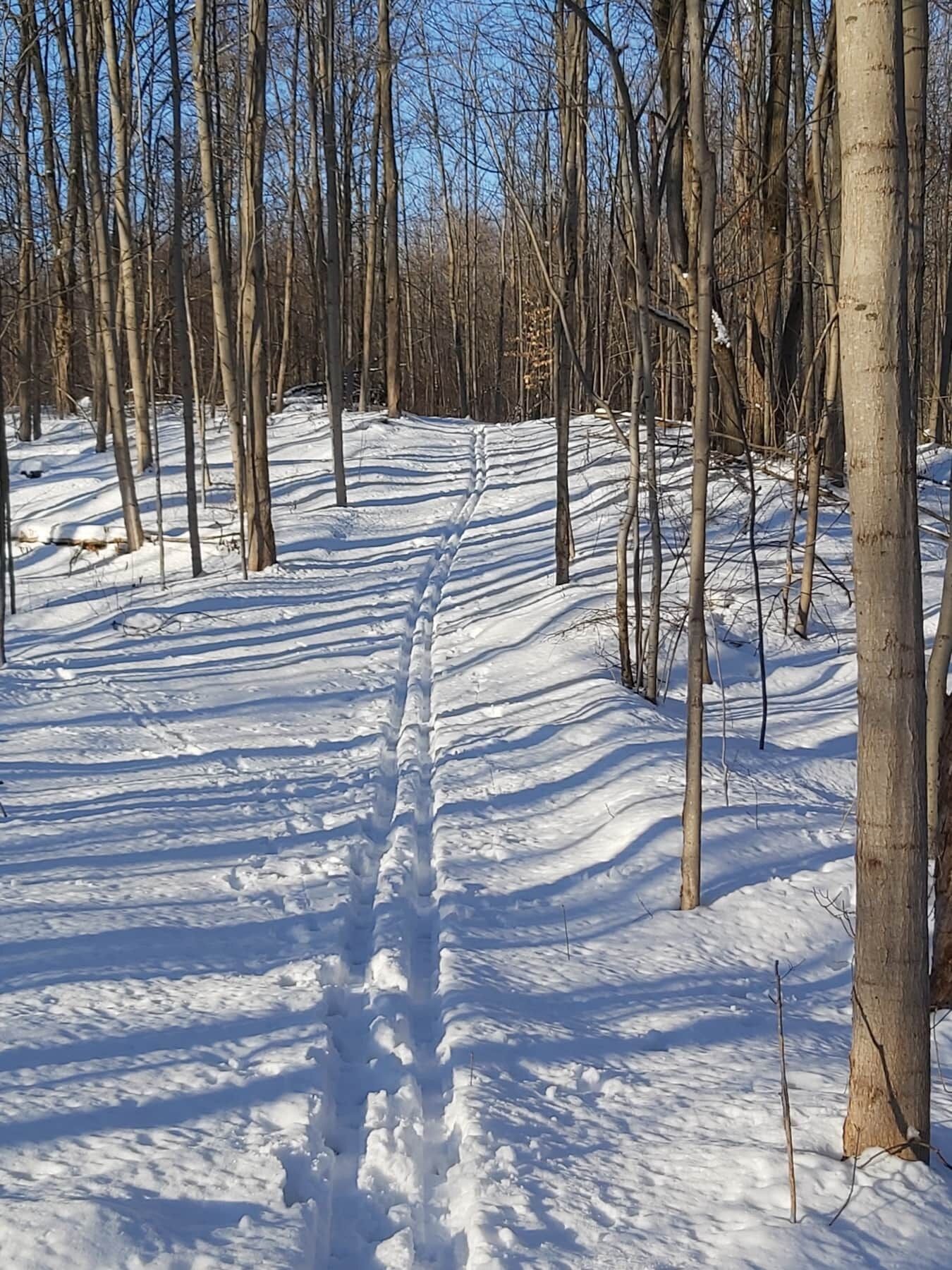 Àrea exterior de l'allotjament
