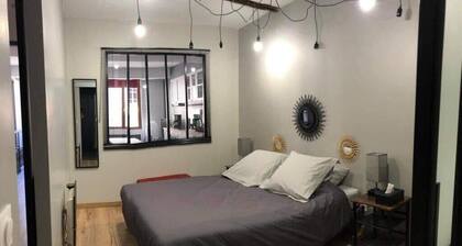 Apartment 1 historic heart of SEMUR EN AUXOIS