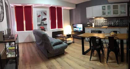 Apartment 1 historic heart of SEMUR EN AUXOIS