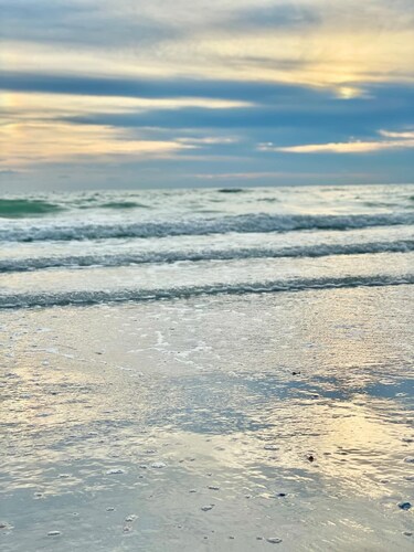 Ila's Beach House: Near IMG-Heated Salt Pool- Pets OK-Modern Organic Smart Home